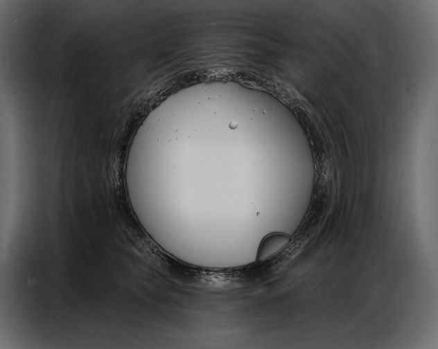 X0000086880565200705071204