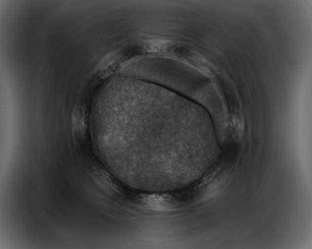 X0000086880566200705071204