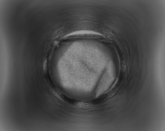 X0000086880568200705071204