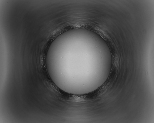 X0000086880569200705071204