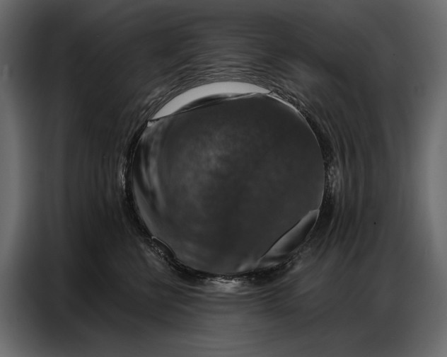 X0000086880570200705071204