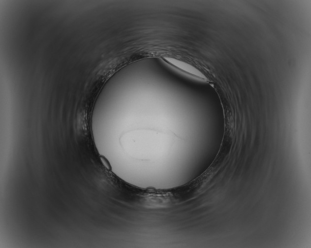 X0000086880571200705071204