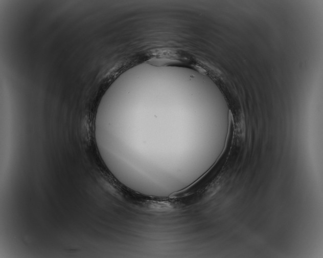 X0000086880572200705071204