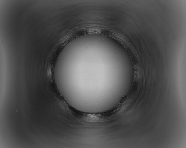 X0000086880573200705071204