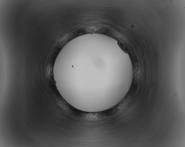 X0000086880574200705071204