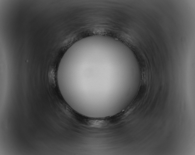 X0000086880575200705071204