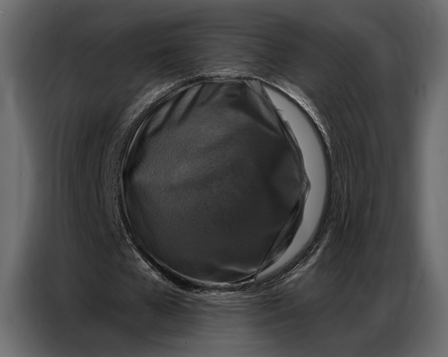 X0000086880577200705071203