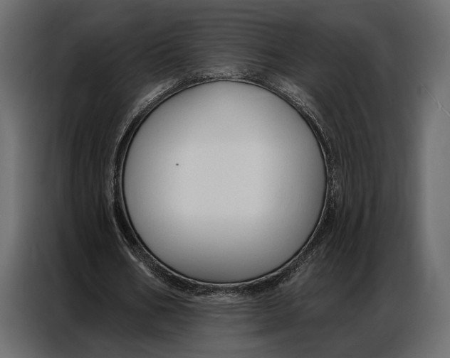 X0000086880578200705071203