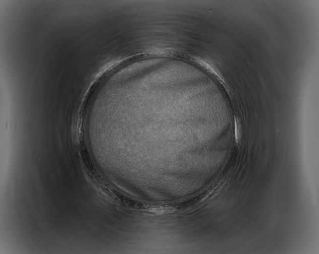 X0000086880579200705071203