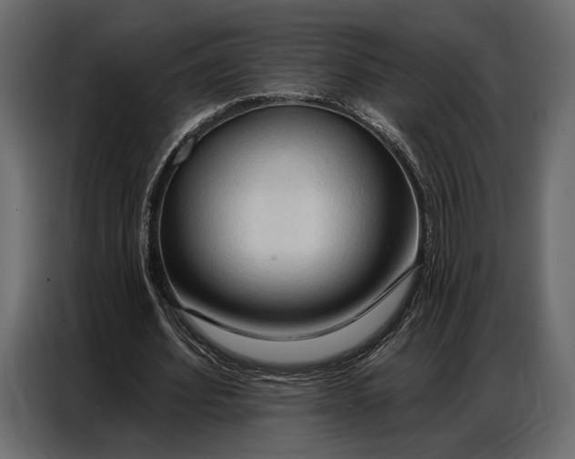 X0000086880580200705071203