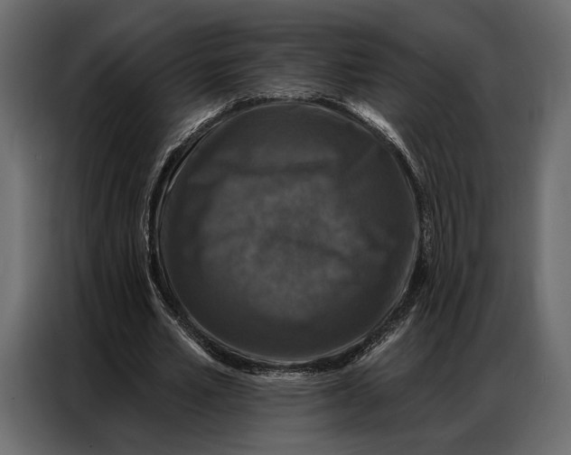 X0000086880581200705071203