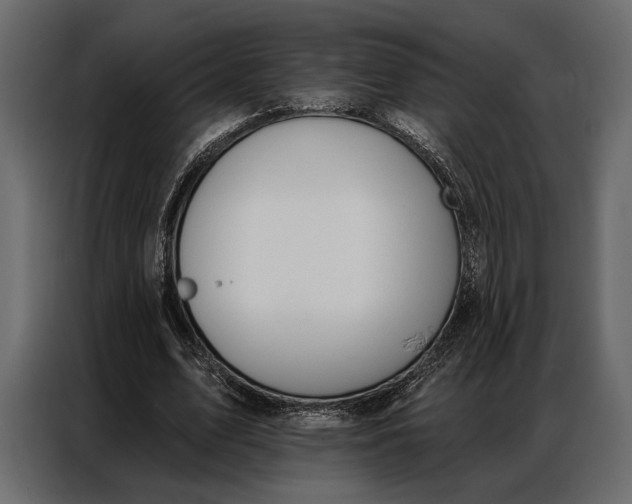 X0000086880583200705071203