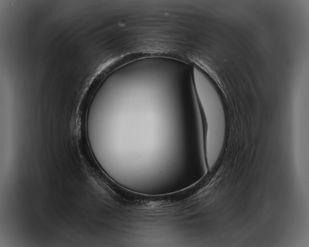 X0000086880584200705071203