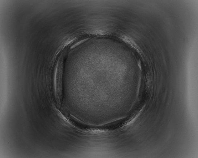 X0000086880585200705071203