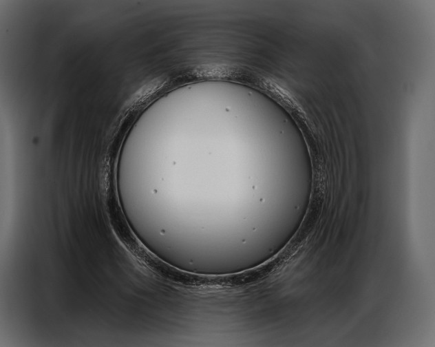 X0000086880586200705071203