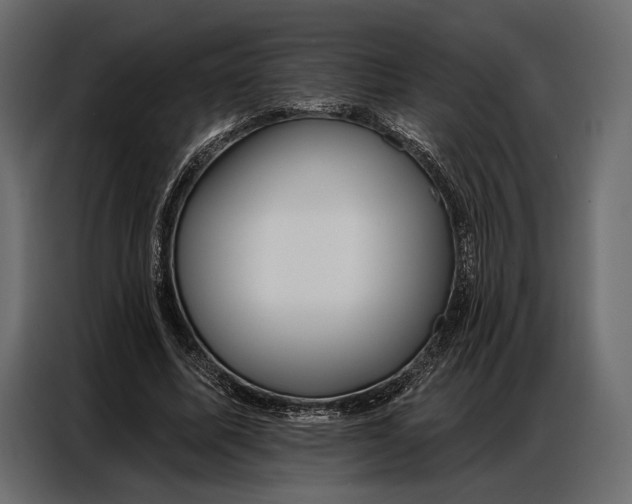 X0000086880587200705071203