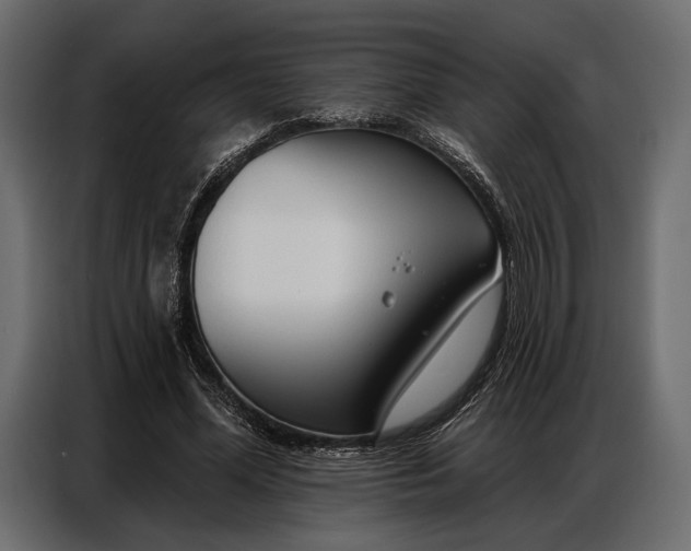 X0000086880588200705071203