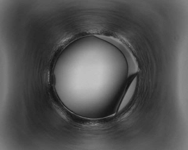 X0000086880589200705071203