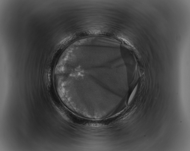 X0000086880590200705071203