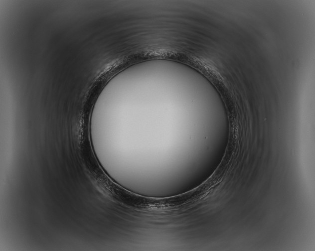 X0000086880591200705071203