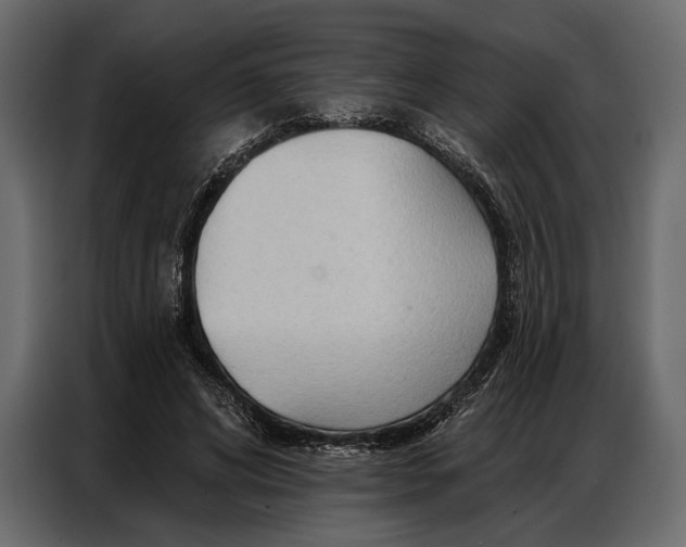 X0000086880592200705071203