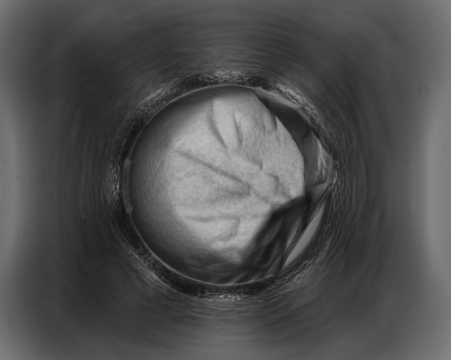 X0000086880593200705071203