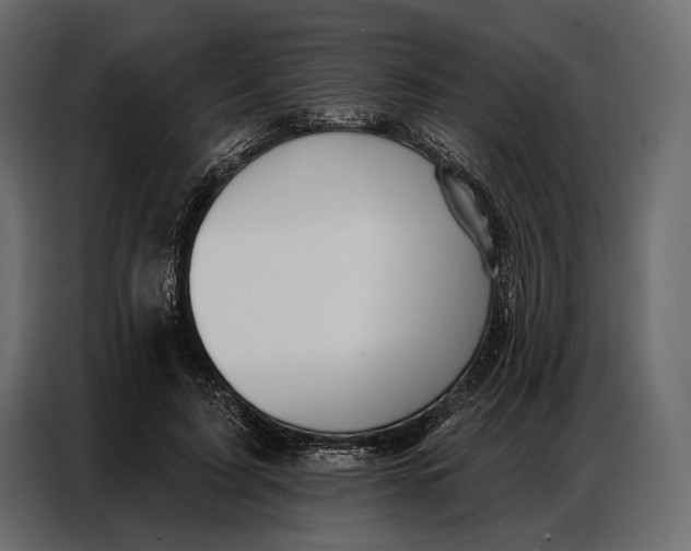 X0000086880595200705071203