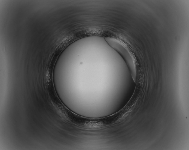 X0000086880597200705071203