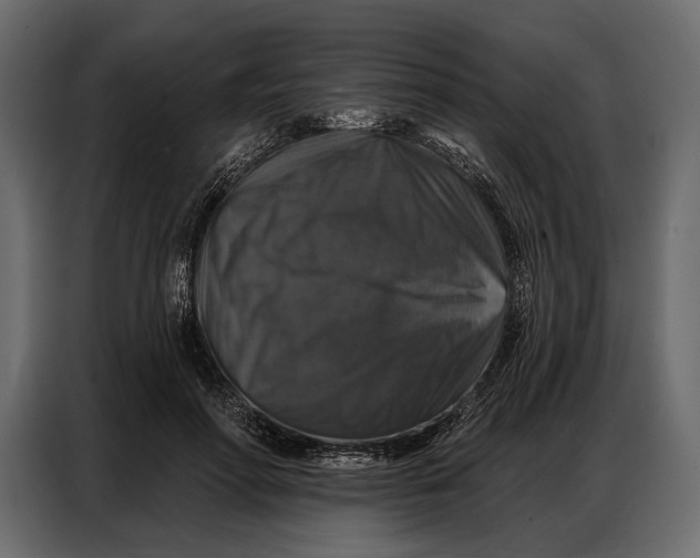 X0000086880598200705071203