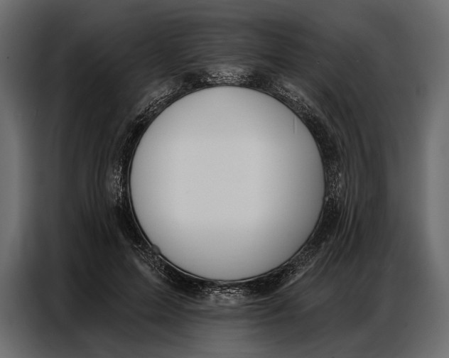 X0000086880599200705071203