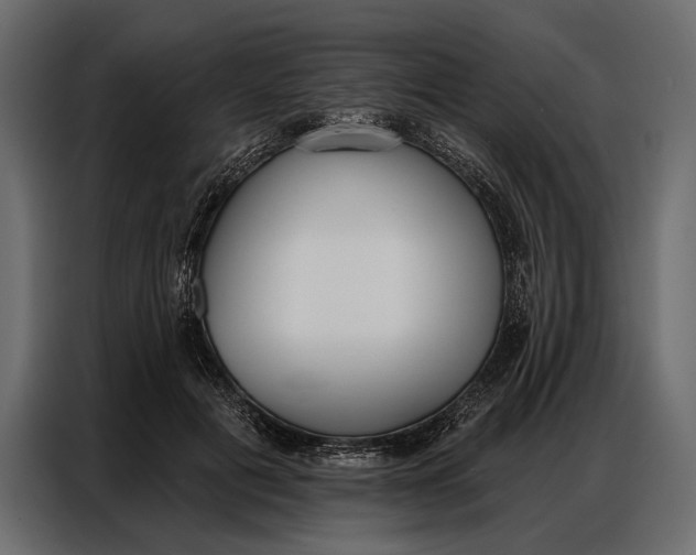 X0000086880601200705071203