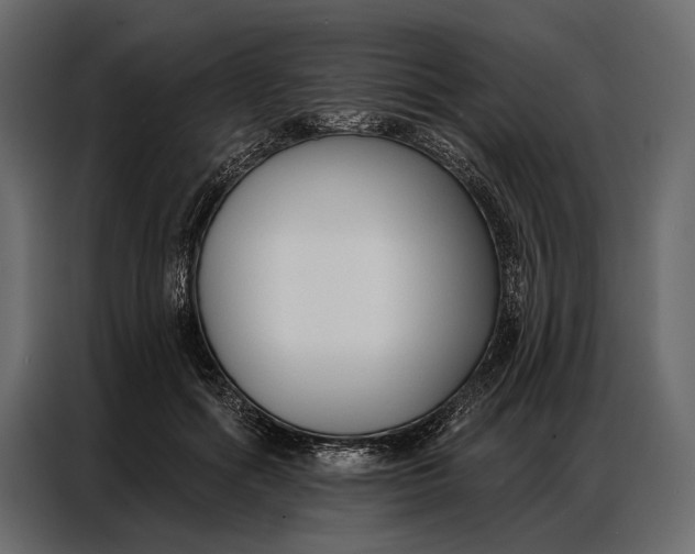 X0000086880602200705071203