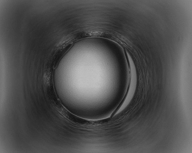 X0000086880604200705071203