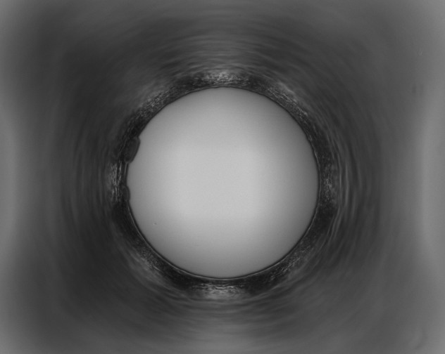 X0000086880605200705071203