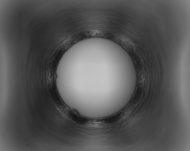 X0000086880607200705071203