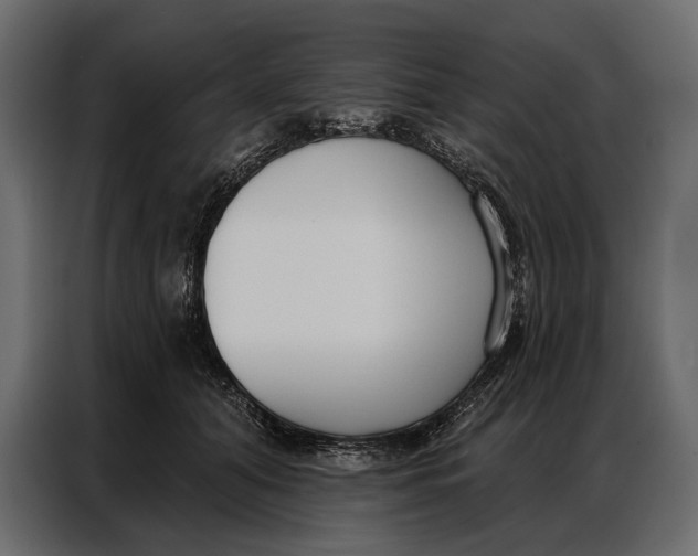 X0000086880608200705071203