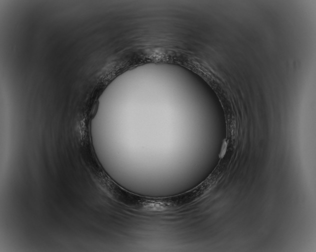 X0000086880611200705071203