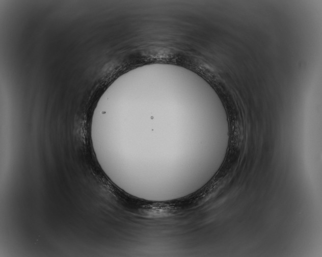 X0000086880612200705071203