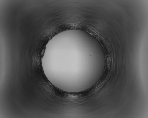 X0000086880613200705071203