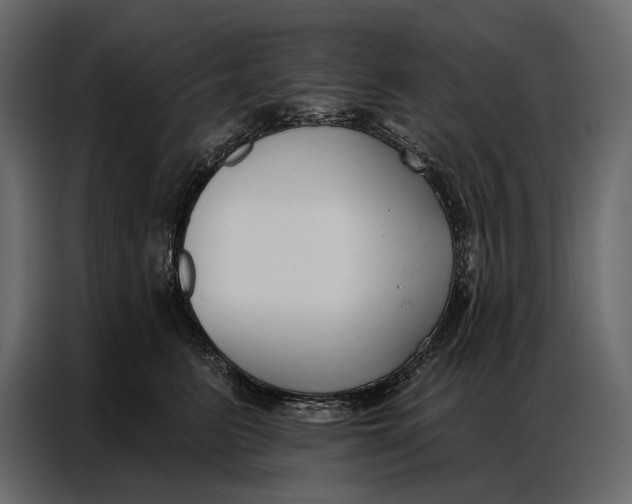 X0000086880615200705071203