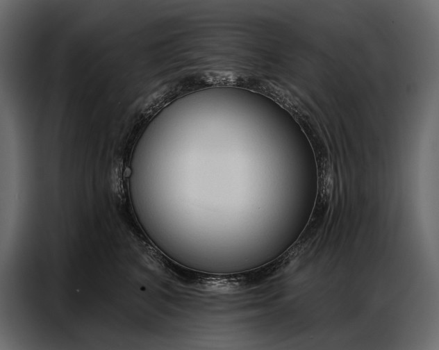 X0000086880616200705071203