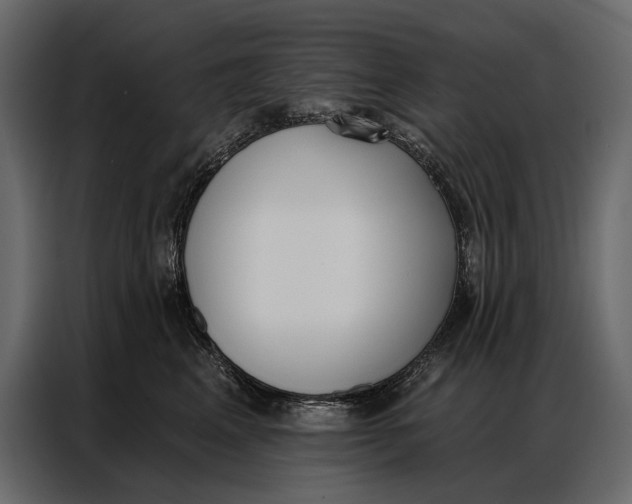 X0000086880617200705071203