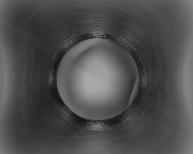 X0000086880618200705071203