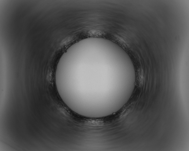 X0000086880619200705071203