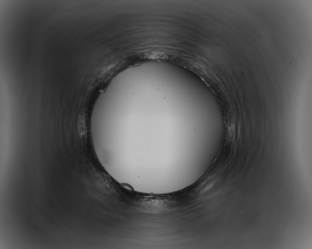 X0000086880620200705071203