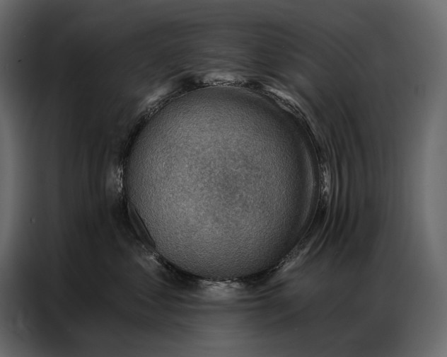 X0000086880621200705071203