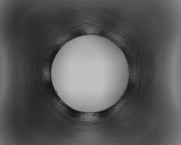 X0000086880622200705071203