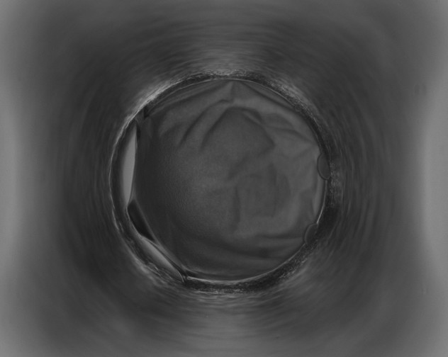 X0000086880626200705071202