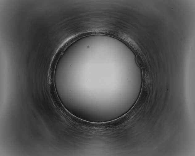 X0000086880628200705071202