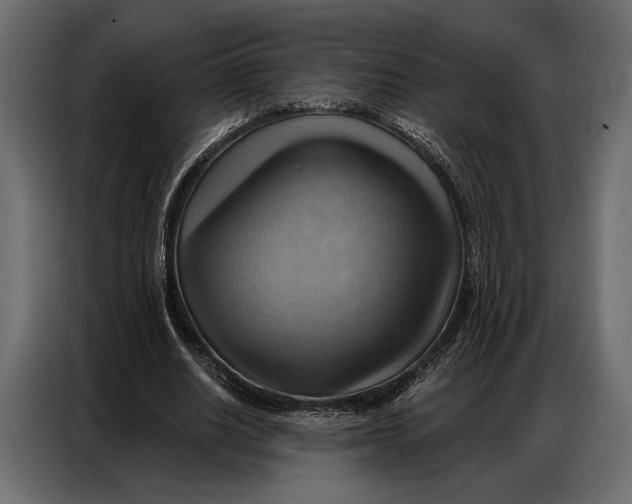 X0000086880630200705071202